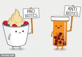 anti pro biotics